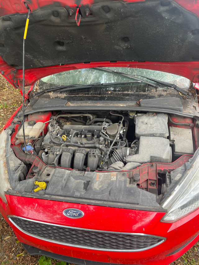 2015 Ford Focus SE (Selling for parts/Vente pour pièces) in Cars & Trucks in Gatineau - Image 2