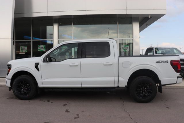 2025 Ford F-150 XLT in Cars & Trucks in Winnipeg - Image 3