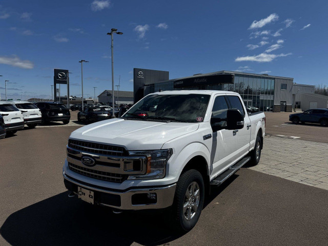 2019 Ford F-150 XLT in Cars & Trucks in Moncton