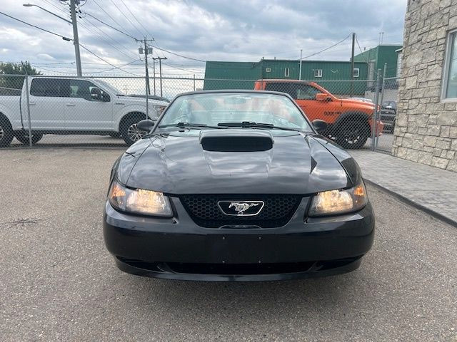 2002 Ford Mustang 2dr Convertible in Cars & Trucks in Calgary - Image 2
