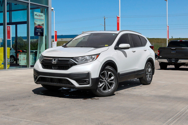 2022 Honda CR-V EX-L in Cars & Trucks in Calgary - Image 2