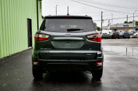 Sunroof, Heated Seats, Proximity Key, Apple CarPlay, Android Auto! 6 LOCATIONS KINGSTON - (613) 384-... (image 4)