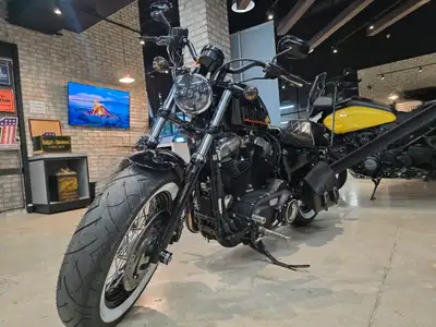 The 2014 Forty-Eight is one of the garage custom motorcycles in the Dark Custom line. This motorcycl...