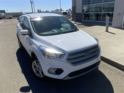 2019 Ford Escape SE AWD | Heated Front Seats | Remote Start | BU