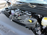 4x4, 6.7L Cummins HO Turbo Diesel, 8-Spd TorqueFlite HD, Power Sunroof, Power Running Boards, Dual W... (image 9)