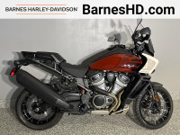 2024 Harley-Davidson RA1250S - Pan America 1250 Special