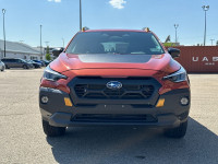 Low Mileage, Off-Road Package, Heated Seats, Apple CarPlay, Android Auto, Adaptive Cruise Control! A... (image 3)