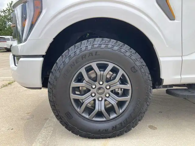 2022 Ford F-150 Tremor dans Autos et camions dans Hamilton - Image 12