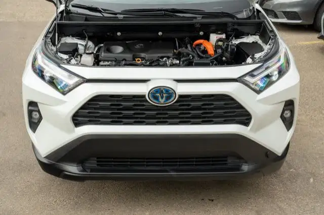 2024 Toyota RAV4 Hybrid XLE dans Autos et camions dans Ville d’Edmonton - Image 15