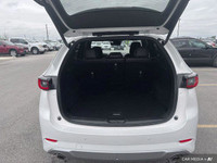 Trip Computer, Tracker System, Tailgate/Rear Door Lock Included w/Power Door Locks, Strut Front Susp... (image 9)