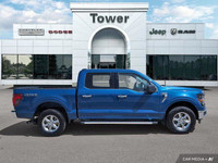 Conquer any terrain with this robust 2024 Ford F-150 XLT Crew Cab, boasting a powerful 3.5L V6 EcoBo... (image 5)