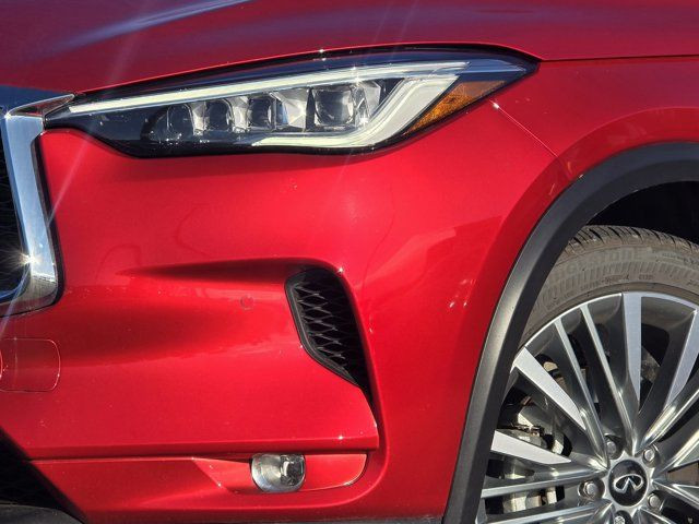 2023 INFINITI QX50 Sensory in Cars & Trucks in Grande Prairie - Image 4
