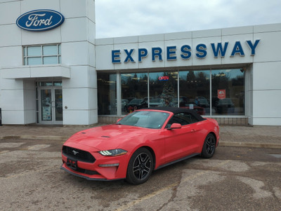  2023 Ford Mustang EcoBoost CONVERTIBLE PREMIUM 310HP, 10-SPEED 