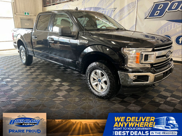 2019 Ford F-150 XLT 300A 5.0 V8 | TOW PACKAGE | REAR VIEW CAMERA in Cars & Trucks in Lloydminster