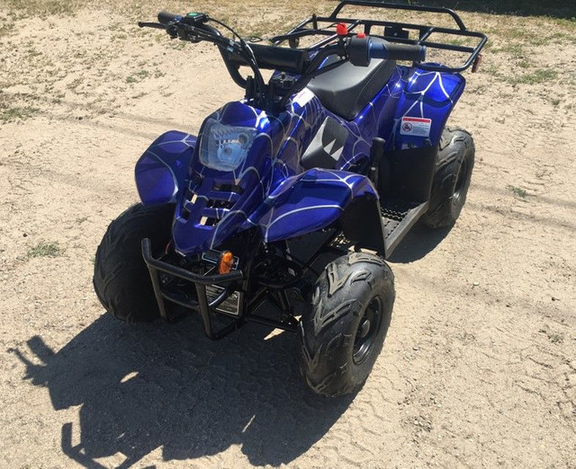 2023 SPRING CLEARANCE SALE ON BRAND NEW KIDS, TEENS & ADULTS ATV in ATVs in Brandon - Image 2