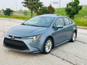 2020 Toyota Corolla Le Upgrade | Sunroof