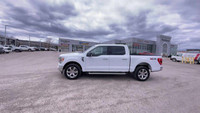 Check out this 2023 Ford F-150 XL before it's too late! *This Ford F-150 Is Competitively Priced wit... (image 5)