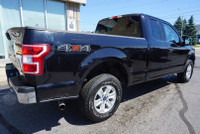 SAFETY INCLUDED LOCAL ONTARIO CAR LOW KMS Very Clean Ford F-150 5.0L V8 XLT with Automatic Transmiss... (image 6)