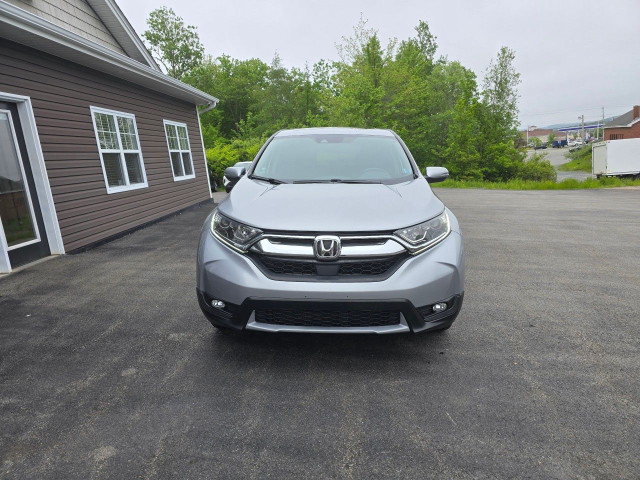2019 Honda CR-V in Cars & Trucks in Bedford - Image 3