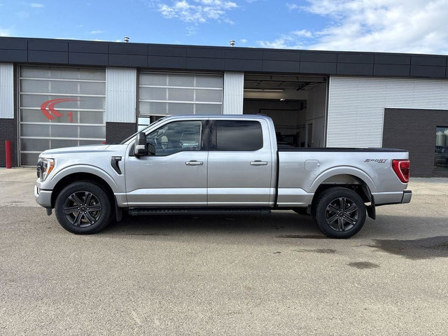 2023 Ford F-150 XLT in Cars & Trucks in Edmonton - Image 4