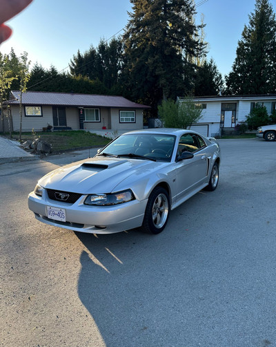2001 Ford Mustang GT - Low KM