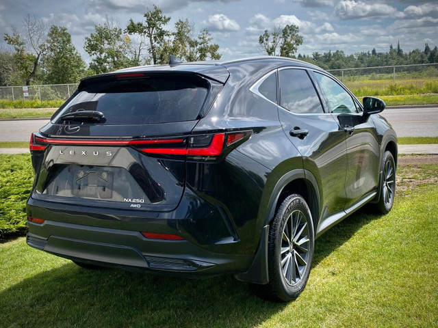 2025 Lexus NX 250 in Cars & Trucks in Calgary - Image 3