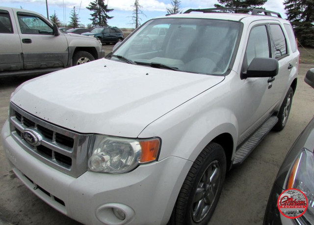 2010 Ford Escape XLT in Cars & Trucks in Calgary