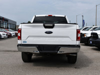 Zoom into Your Dream Ride: 2020 F-150 XTR Super Crew 4x4! Looking for a truck that's tougher than a... (image 5)