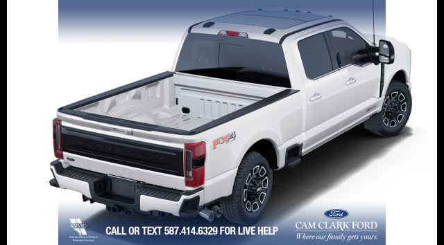 2025 Ford F-350 Platinum in Cars & Trucks in Calgary - Image 4