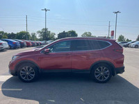Come visit our London Honda team, you can find us at 560 Wharncliffe Rd S, London, ON, N6J 2N4, or c... (image 2)