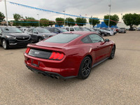 AMVIC Licensed Dealer Engine: 8 Cylinder Engine 5.0L L/100Km City: 16.1 L/100Km Hwy: 9.9 Safety Equi... (image 8)