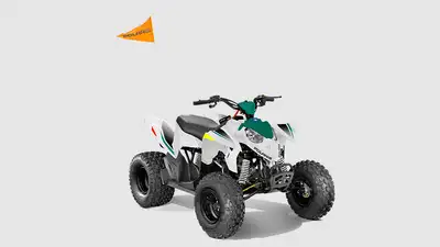 Introducing the 2025 Outlaw 110 EFI - Your Young Adventurer's Perfect Companion! Tailored for young...