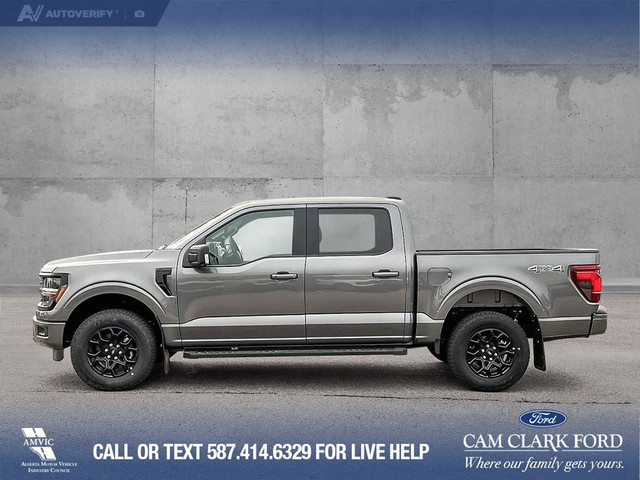 2025 Ford F-150 XLT in Cars & Trucks in Calgary - Image 4