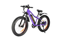 2023 Ampr' Up 2.0 E-Bike Purple