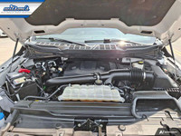 Come see this certified 2023 Ford F-150 XLT Crew 4X4 | 3.5L EcoBoost | Power Seat | CarPlay + Androi... (image 8)