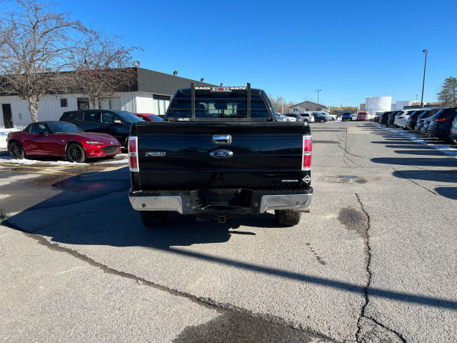 2014 Ford F-150 in Cars & Trucks in Ottawa - Image 4