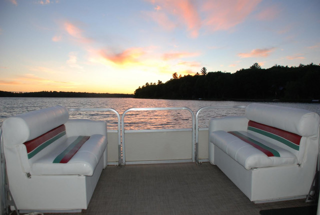 2024 RENT a PONTOON BOAT 2080 in Powerboats & Motorboats in Sault Ste. Marie - Image 2