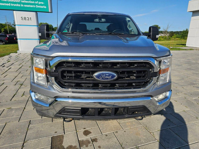 2022 Ford F-150 in Cars & Trucks in Ottawa - Image 2