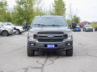The 2019 Ford F-150 is a full-size pickup that delivers serious capability, a wide range of powertra... (image 2)