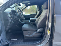 STX 2WD SuperCrew 5.5' Box Engine: 5.0L V8 (image 9)