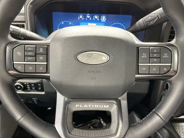 2025 Ford Super Duty F-250 SRW Platinum in Cars & Trucks in Strathcona County - Image 20