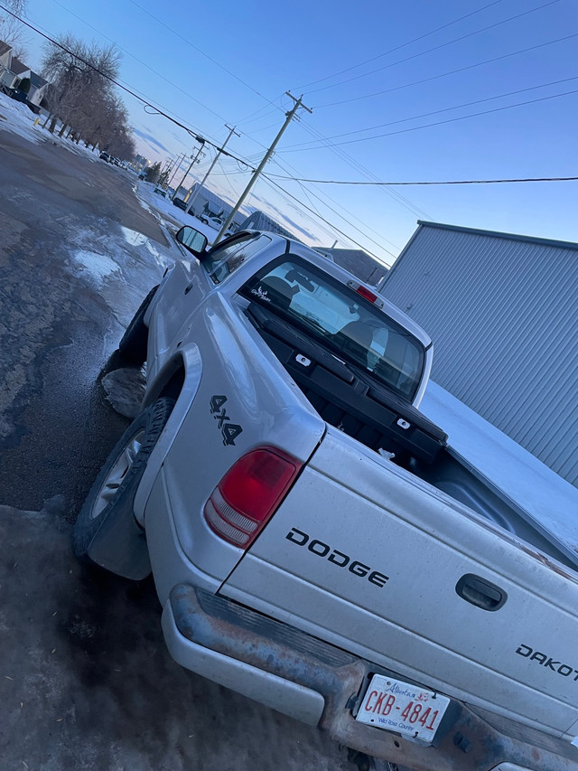 2003 Dodge Dakota Sport in Cars & Trucks in Edmonton - Image 2