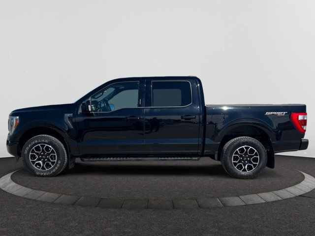 2021 Ford F-150 LARIAT SuperCrew EcoBoost™ in Cars & Trucks in Regina - Image 2