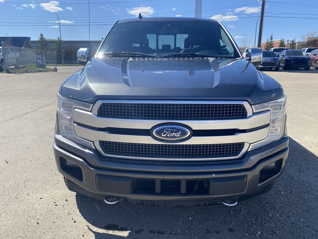 2019 Ford F-150 Platinum in Cars & Trucks in Edmonton - Image 4