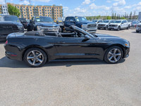 WAS: $30990 NOW: $28490 plus taxes and licensing feesLow Mileage, Premium Audio Package, Rear View C... (image 5)