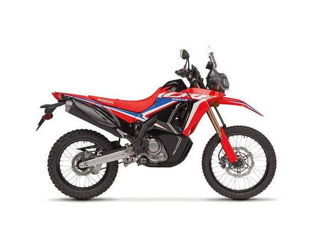 2024 Honda CRF300L Rally ABS in Street, Cruisers & Choppers in Peterborough - Image 3