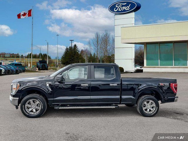 2021 Ford F-150 XLT in Cars & Trucks in Kitchener / Waterloo - Image 4