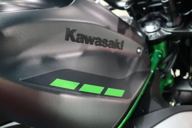 2025 Kawasaki Z900 in Street, Cruisers & Choppers in Edmonton - Image 5
