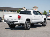One Owner - Rock Deflector - Running Boards - Rain Deflectors - Remote Start The 2017 Toyota Tacoma... (image 8)