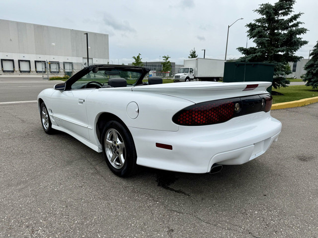 1999 Pontiac TRANS AM LS1 CONVERTIBLE! in Cars & Trucks in Oakville / Halton Region - Image 3